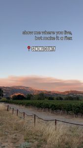 Instagram post by @shae_li