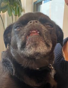 Instagram post by @pluto