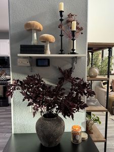 Instagram post by @shanthis.lifestyle