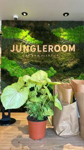 Instagram post by @tattooed.tresses