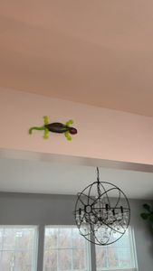 Instagram post by @bethpicard1