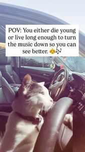 Instagram post by @adhdteachermom