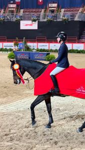 Instagram post by @theproppponies