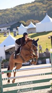 Instagram post by @theproppponies