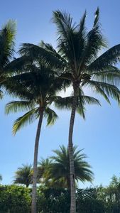 Instagram post by @theproppponies