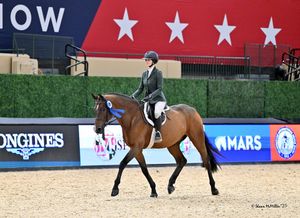 Instagram post by @theproppponies