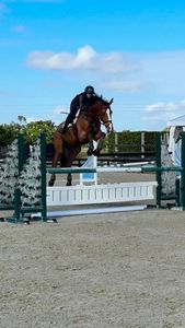 Instagram post by @theproppponies