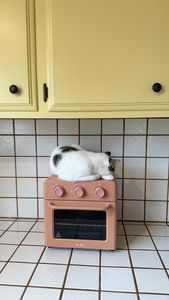 Instagram post by @wholehanna