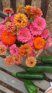 Instagram post by @wholehanna