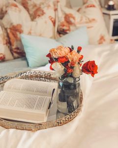 Instagram post by @shannonmercier