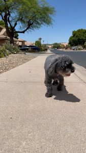 Instagram post by @jaxxramos