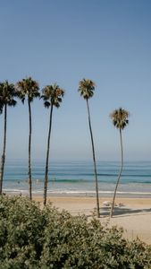 Instagram post by @joliejanine