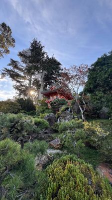 Instagram post by @kalokachar