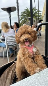 Instagram post by @itsdavianaa