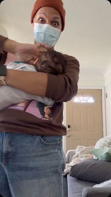 Instagram post by @twincitieslactation