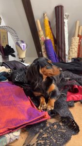 Instagram post by @gunnardeatherage