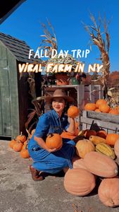 Instagram post by @fishsflourish