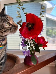 Instagram post by @pumuloknguyen