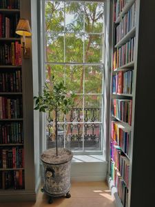 Instagram post by @pumuloknguyen