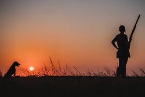 Instagram post by @bensassani