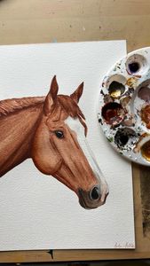 Instagram post by @ajvonkorff