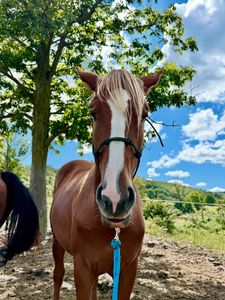 Instagram post by @ajvonkorff