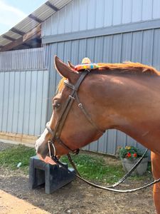 Instagram post by @ajvonkorff