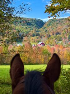 Instagram post by @ajvonkorff