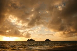 Instagram post by @justinkunimoto