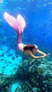 Instagram post by @mermaid_jules