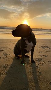 Instagram post by @emilykuchh