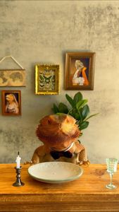 Instagram post by @whosagoodlizard