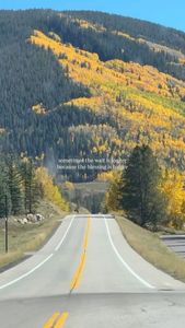 Instagram post by @chelseyharlien