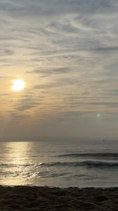 Instagram post by @vintage.x.nature