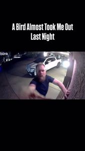 Instagram post by @reidontheradio