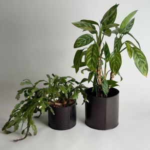 Instagram post by @mcintyrefurniture