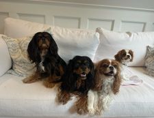 Instagram post by @dangertakesover