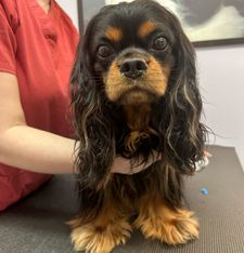 Instagram post by @dangertakesover