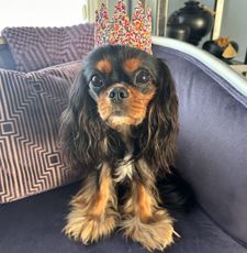 Instagram post by @dangertakesover