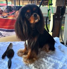 Instagram post by @dangertakesover