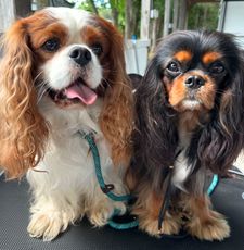 Instagram post by @dangertakesover