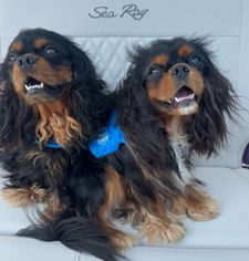 Instagram post by @dangertakesover