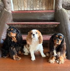 Instagram post by @dangertakesover