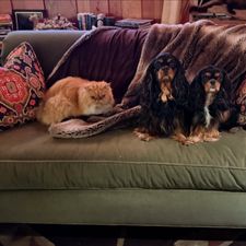 Instagram post by @dangertakesover