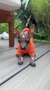 Instagram post by @missreneepoche