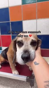 Instagram post by @missreneepoche