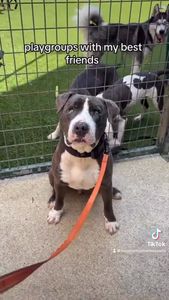 Instagram post by @missreneepoche