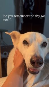 Instagram post by @missreneepoche