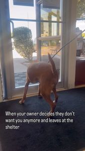 Instagram post by @missreneepoche