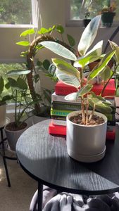 Instagram post by @eattravelandrepeat